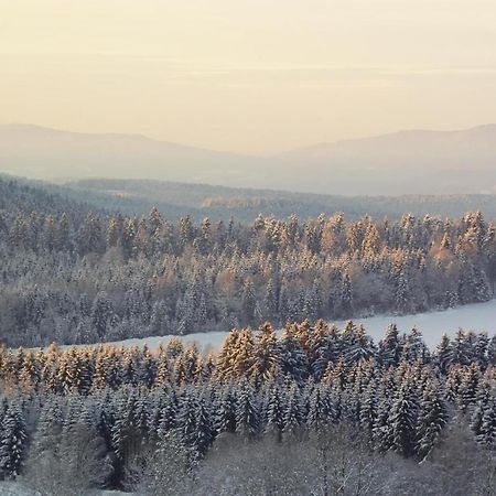 Ferienwohnung-Panoramablick-1 Bodenmais Exteriör bild