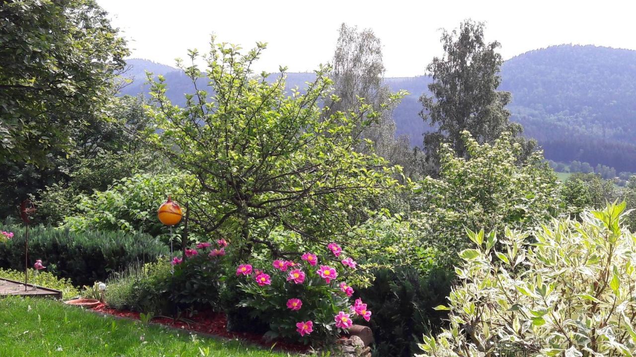 Ferienwohnung-Panoramablick-1 Bodenmais Exteriör bild
