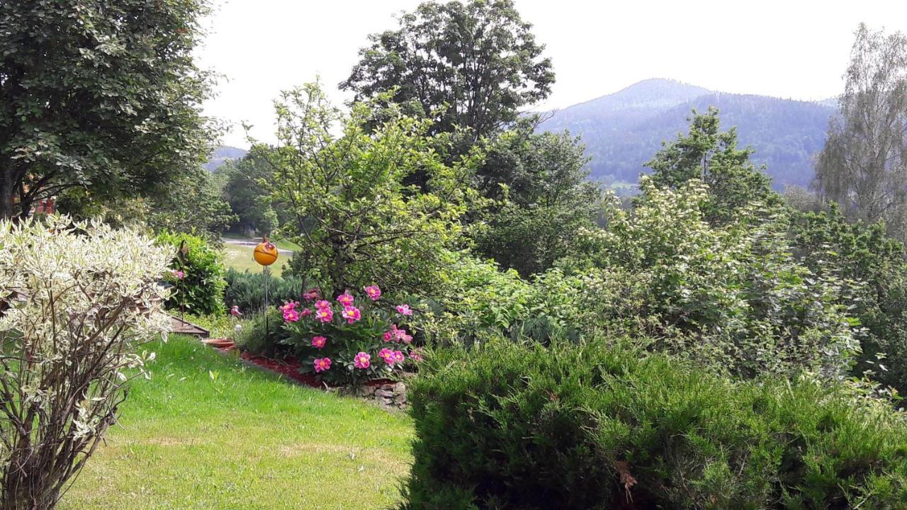 Ferienwohnung-Panoramablick-1 Bodenmais Exteriör bild